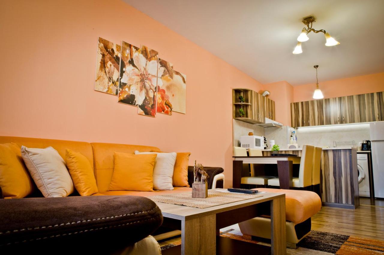 Sunflower Apartment City Center Plovdiv Esterno foto